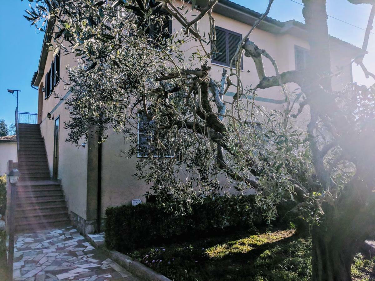 Maremmano Bnb Capalbio Εξωτερικό φωτογραφία